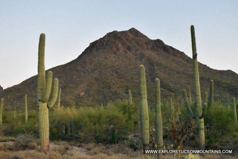 TUCSON MOUNTAIN PARK. TUCSON ATTRACTION