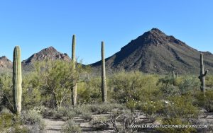 TUCSON MOUNTAINS GOLDEN GATE