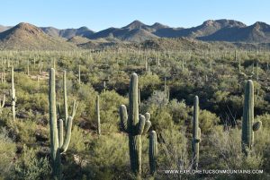 TUCSON HIKING TRAILS