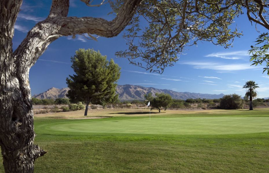 SILVERBELL GOLF COURSE. TUCSON GOLF