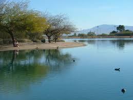 TUCSON BIRDING HOTSPOT