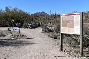 TUCSON HIKING TRAILS