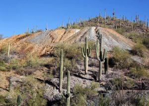 GOULD MINE