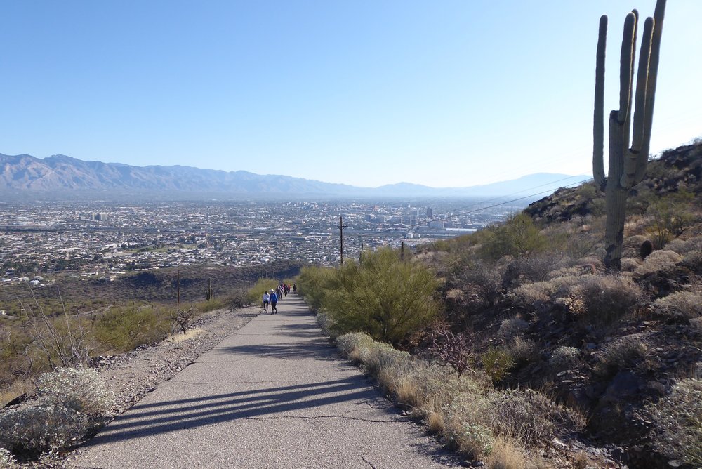 TUCSON HIKING TRAILS