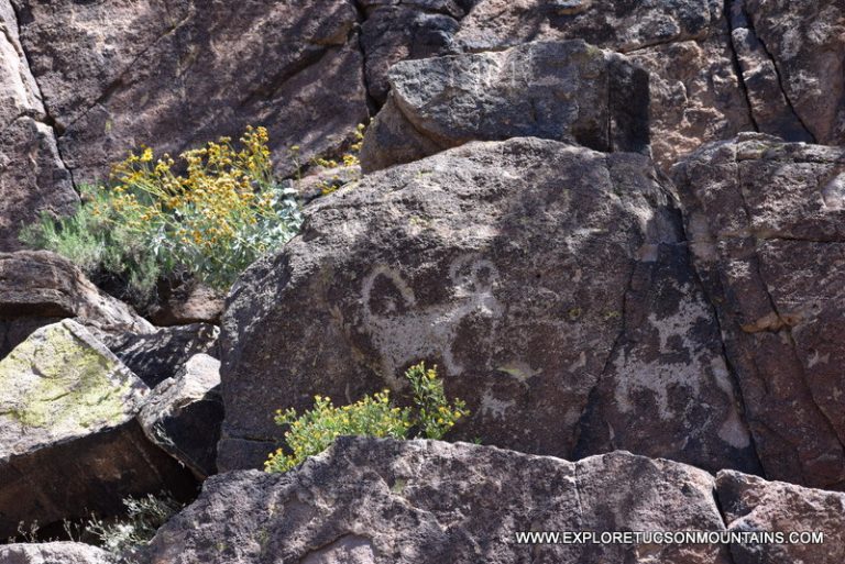 TUCSON PETROGLYPHS - Explore the Tucson Mountains