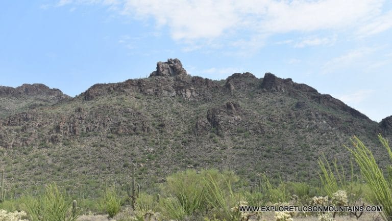 BUSHMASTER PEAK