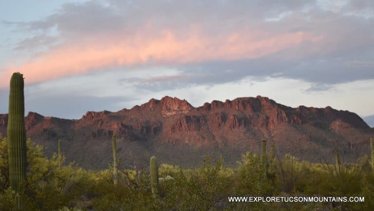 TUCSON MOUNTAINS BUSHMASTER PEAK