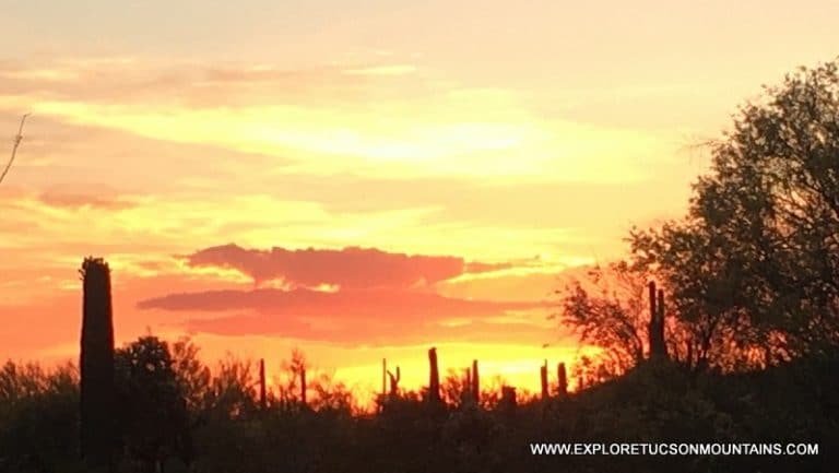 TUCSON SUNSET - TUCSON GALLERY