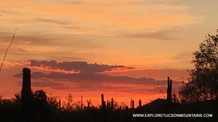 TUCSON SUNSET - TUCSON GALLERY