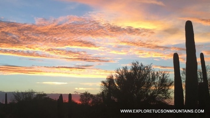 TUCSON SUNSET - TUCSON GALLERY