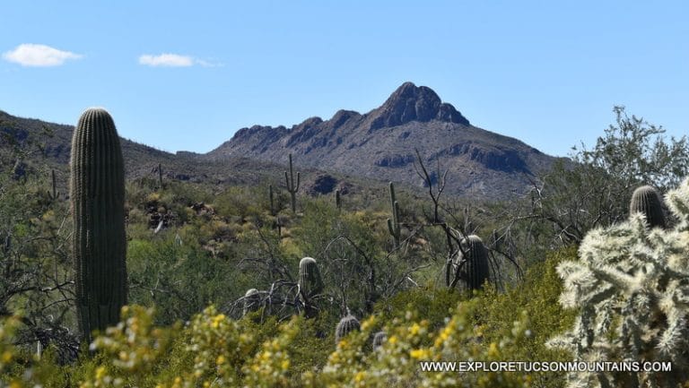 SAFFORD PEAK TUCSON MOUNTAINS HIKING TRAILS