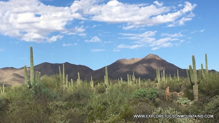 TUCSON MOUNTAINS HIKING MAPS