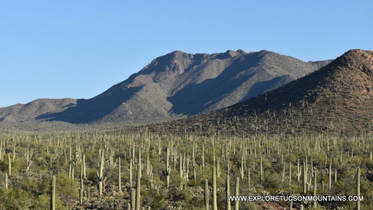 WASSON PEAK TUCSON MOUNTAINS HIKING TRAILS