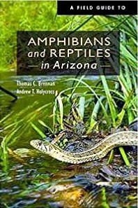 AMPHIBIANS AND REPTILES IN AZ