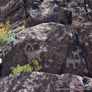 SAGUARO NATIONAL PARK PETROGLYPH