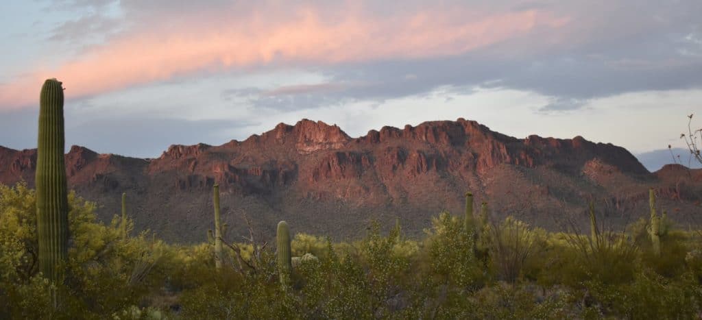 TUCSON MOUNTAINS