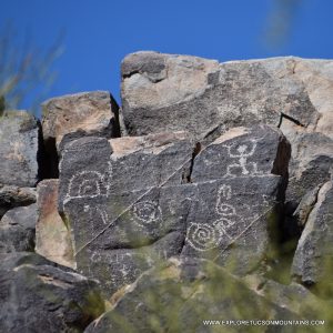 SAGUARO NATIONAL PARK PETROGLYPH