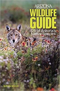 ARIZONA HIGHWAYS WILDLIFE GUIDE