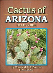 CACTUS OF AZ