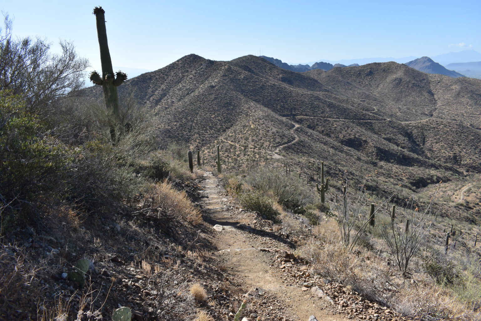 guided hiking tours tucson
