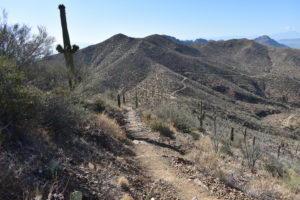 TUCSON HIKING TRAILS