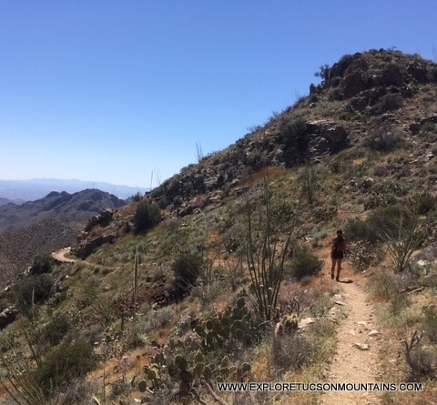 EXPLORE TUCSON MOUNTAINS