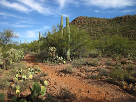 ROBLES PASS TRAILS PARK