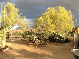 TUCSON SNOWBIRD NEST TUCSON RV CAMPGROUNDS