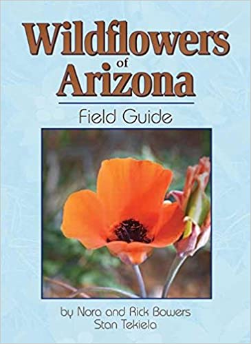 WILDFLOWERS OF ARIZONA