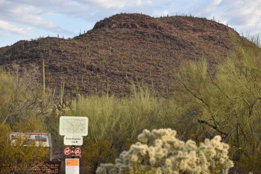 BROWN MTN TRAILHEAD