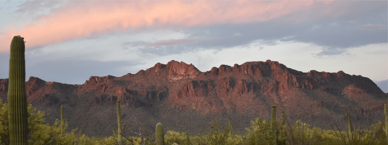 Explore Tucson Mountains
