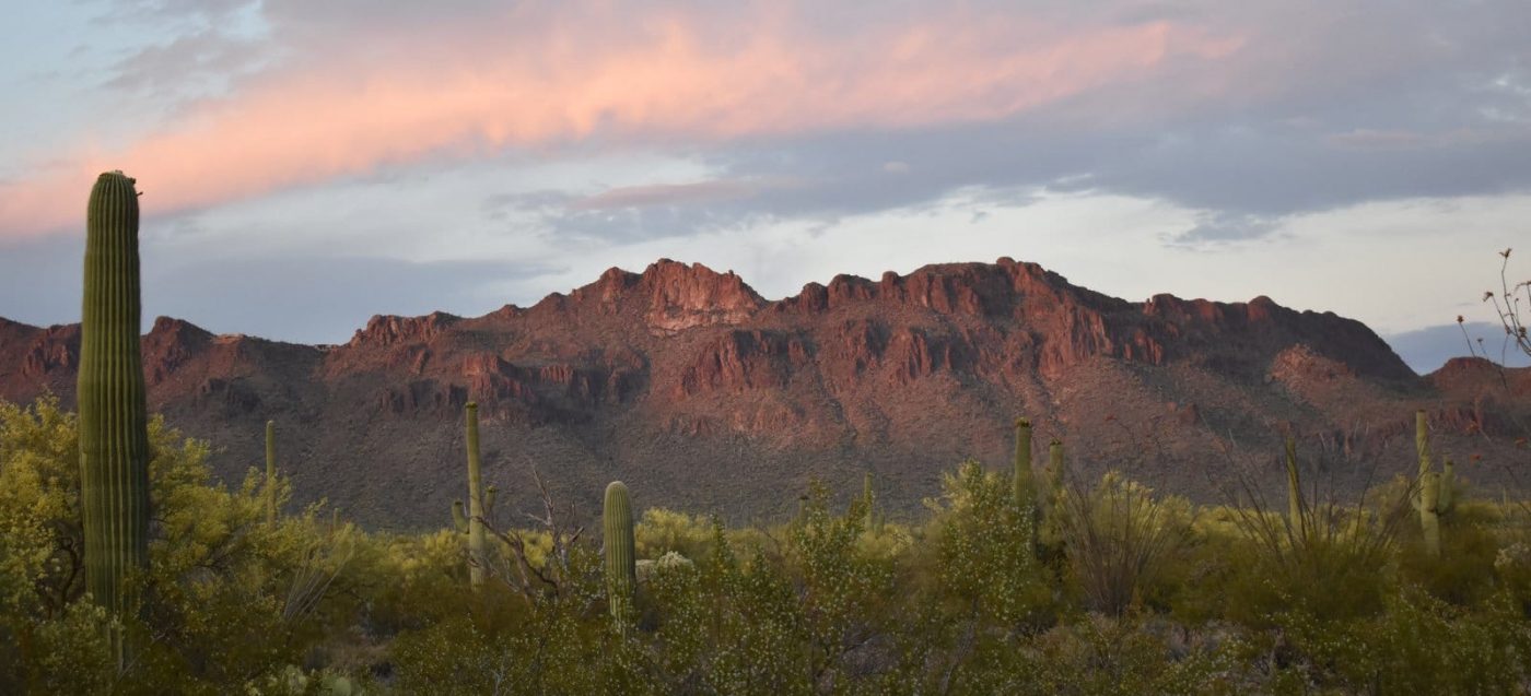 TUCSON MOUNTAINS